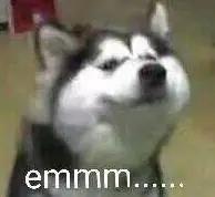 暖哭!90岁奶奶用废报纸作画,震撼数万网友:我缺的是纸吗?是手