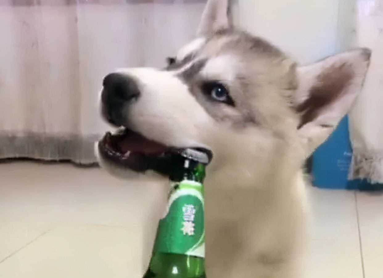 @瓜子*党**和*力暴**开瓶侠看过来!戚薇同款牙,你不pick一下吗