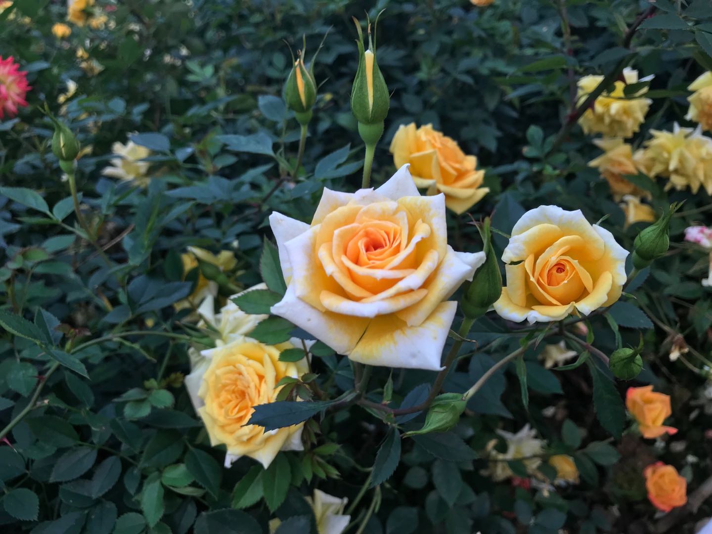 广西人带你走进不一样的广西,来广西感受广西人的风情