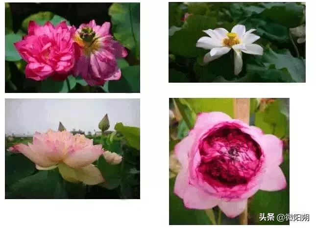 广西最好避暑的县城,广西那边热吗