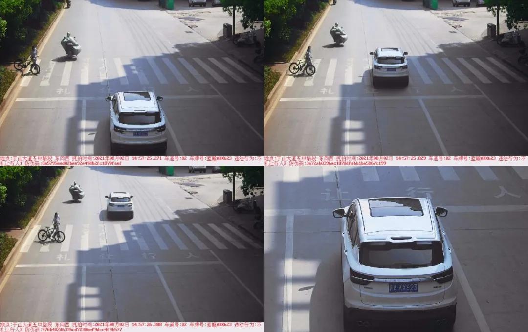 于都礼让行人上哪里举报,于都五中不礼让行人抓拍