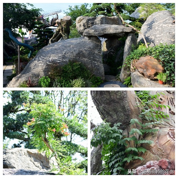 这座半山半水的土豪庭院，成了大多数男人的梦想｜花园拜访