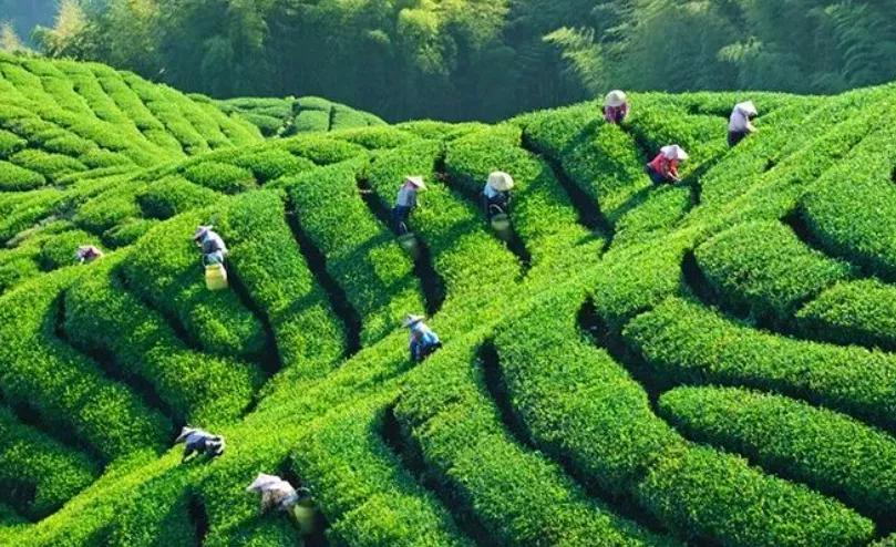 100年坑蒙拐骗，英国怎么抢走了大清的商业王座