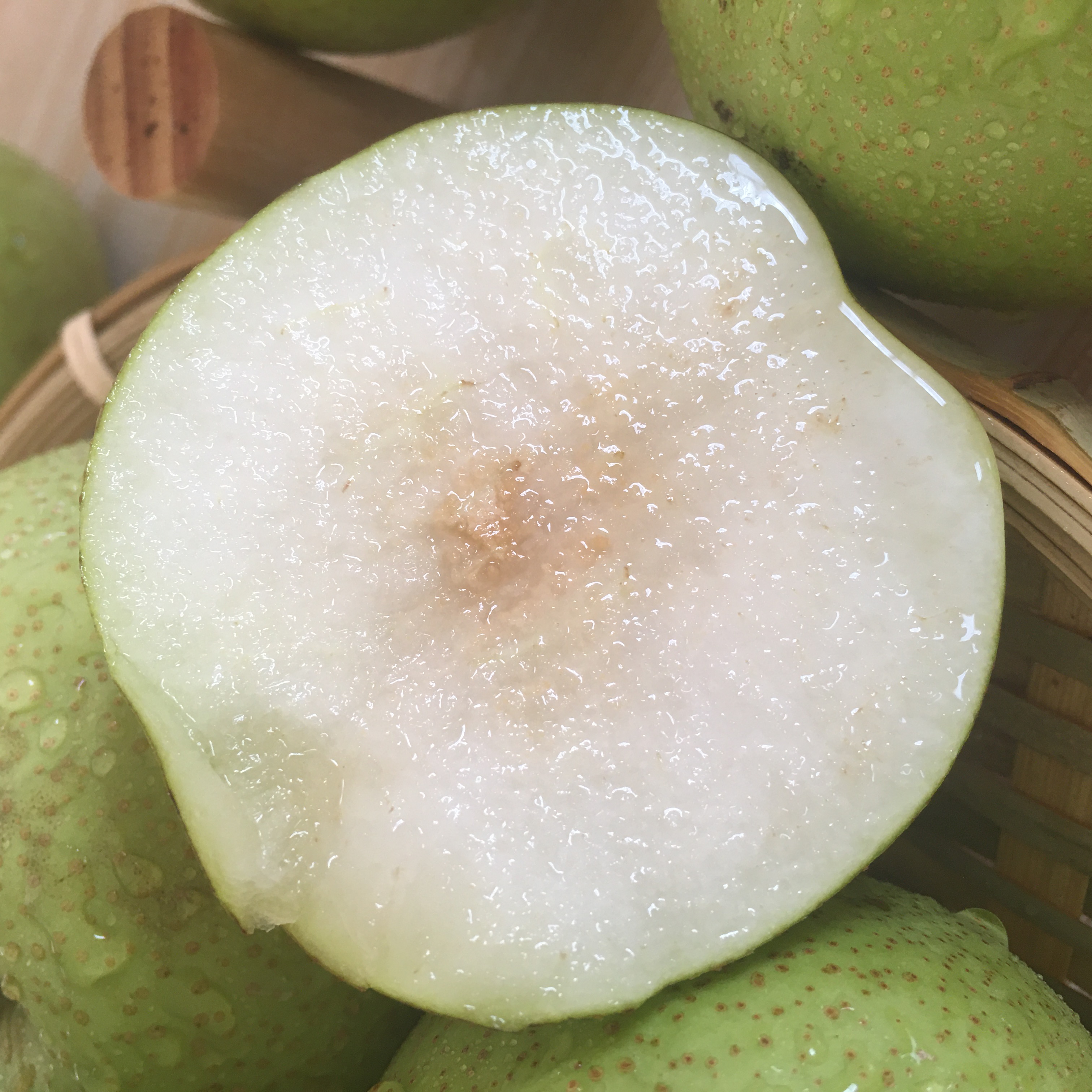 美好的事物总是很短暂完整版,美好的事物总是很短暂翻唱