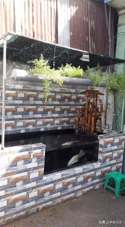 建一个锦鲤池要多少钱,园林锦鲤池建造