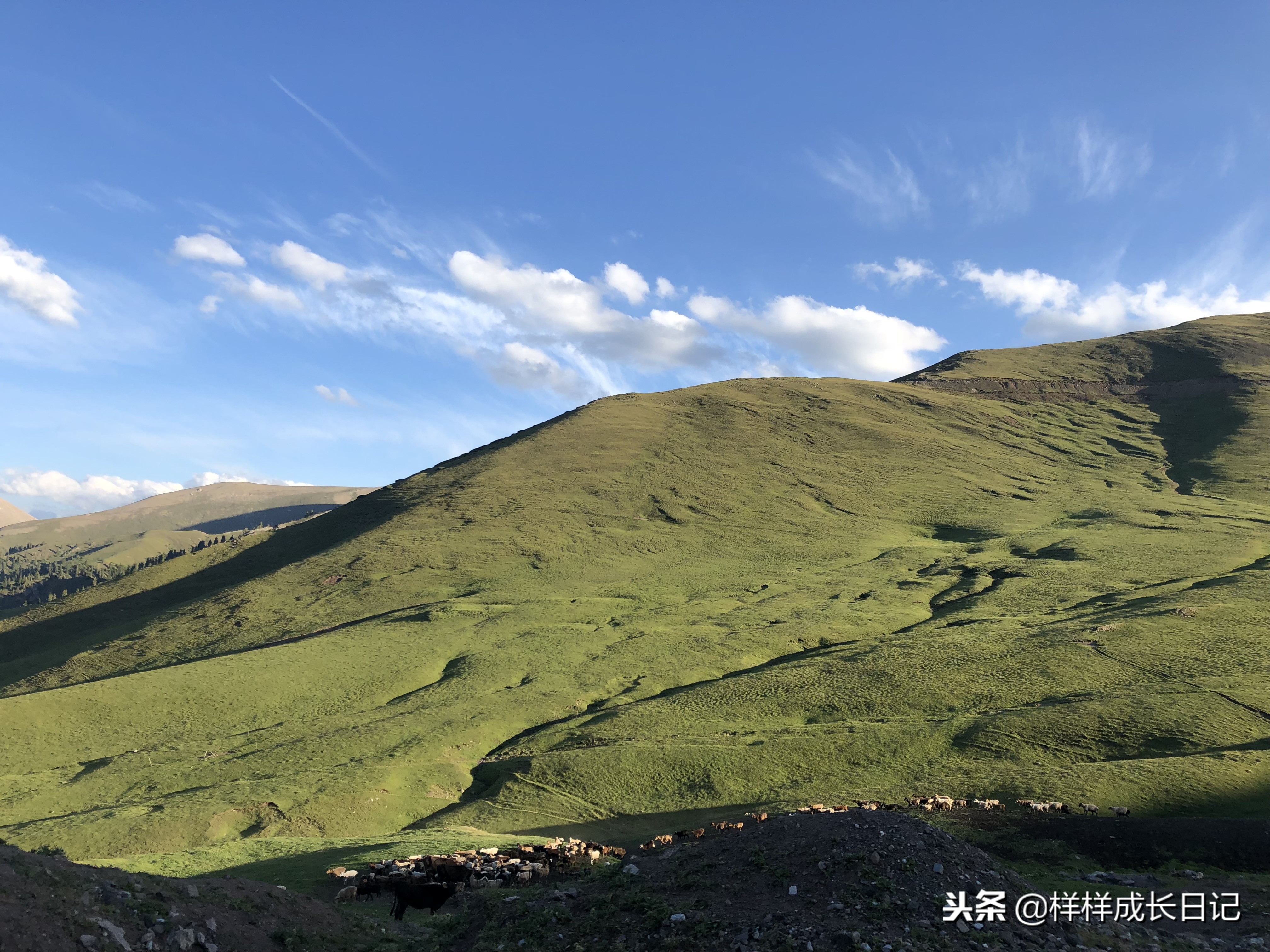 一家三口新疆伊犁旅游,自驾游霍尔果斯路线攻略