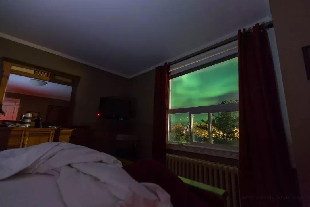 斑马旅游优缺点,斑马旅游2019