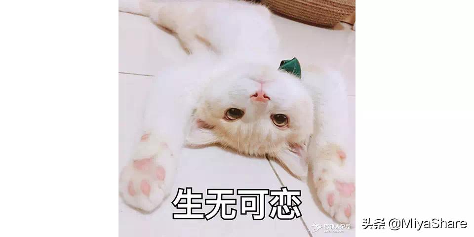 hbn护肤品吐槽,玛莉格护肤品吐槽