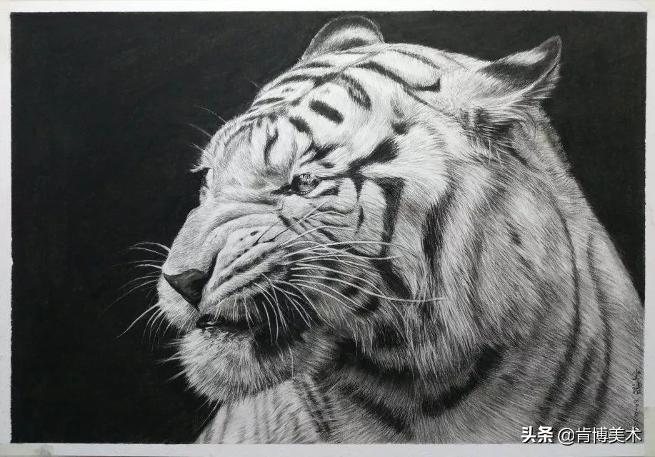 素描常见的起形手法人物,素描起形用什么笔