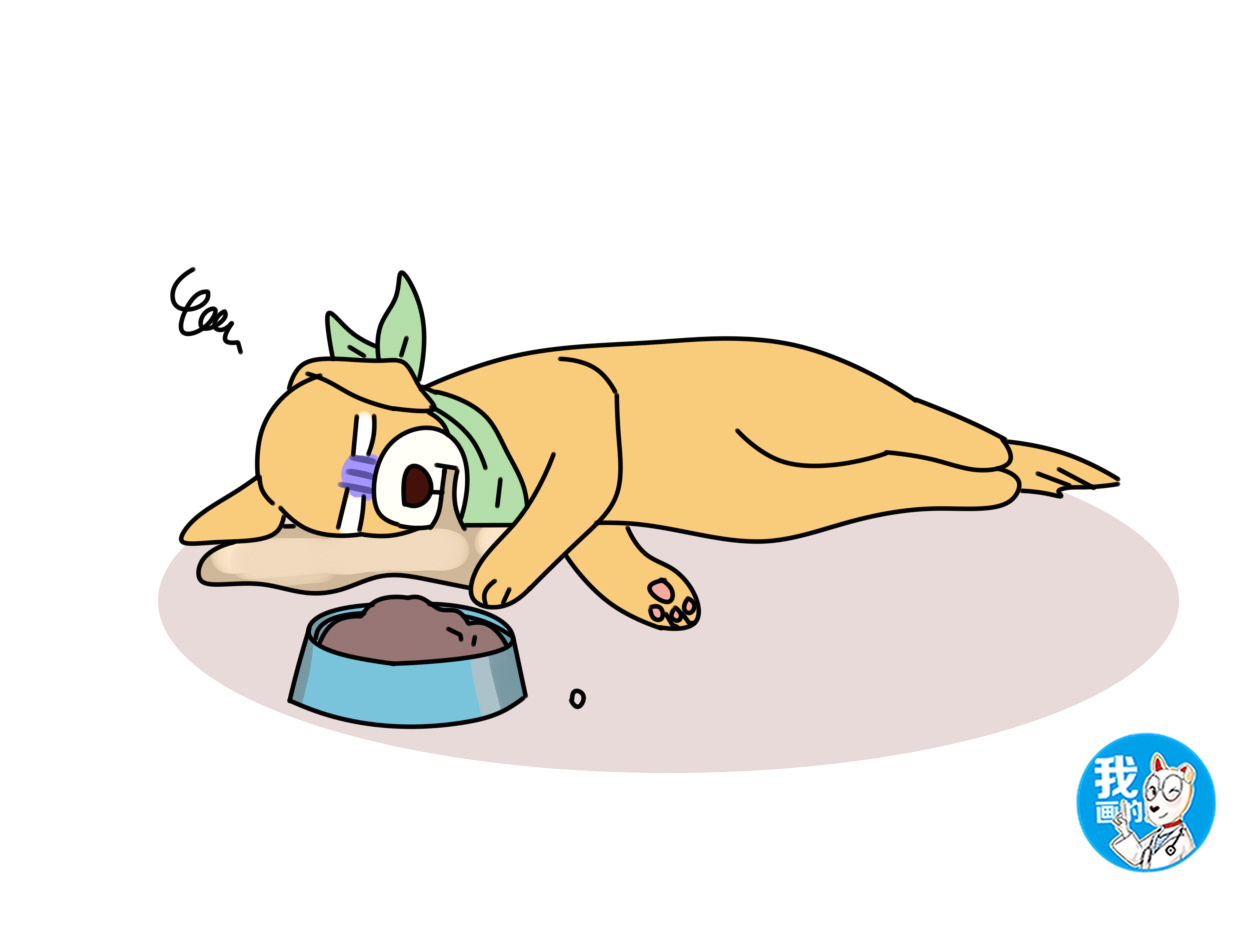 犬细小病毒死亡率百分之几,成年犬感染细小好治愈吗