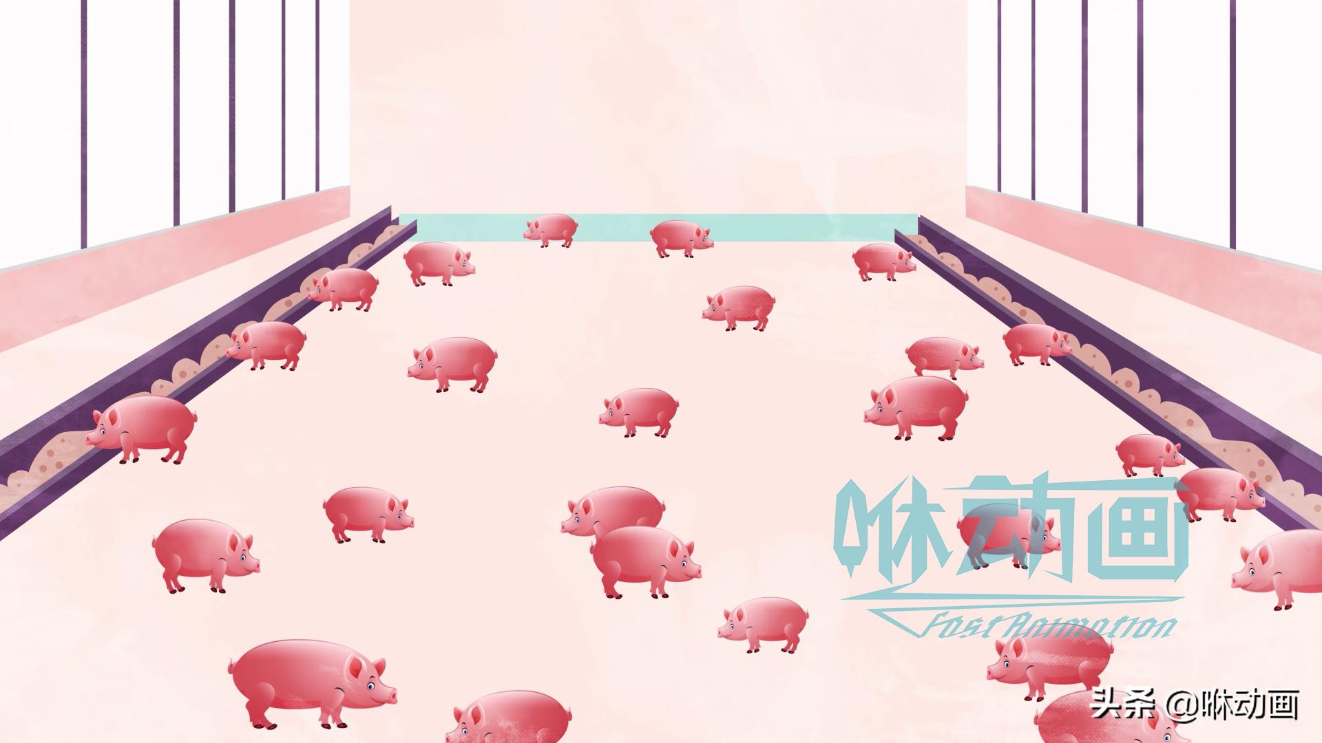 flash较高级动画制作技术,动画制作与flash基础知识