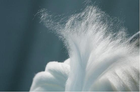 天丝面料家纺做法,天丝家纺面料哪里有