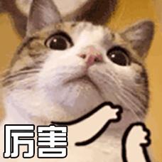 那些你不知道的护肤成分,不踩坑护肤的哪些成分不可忽略