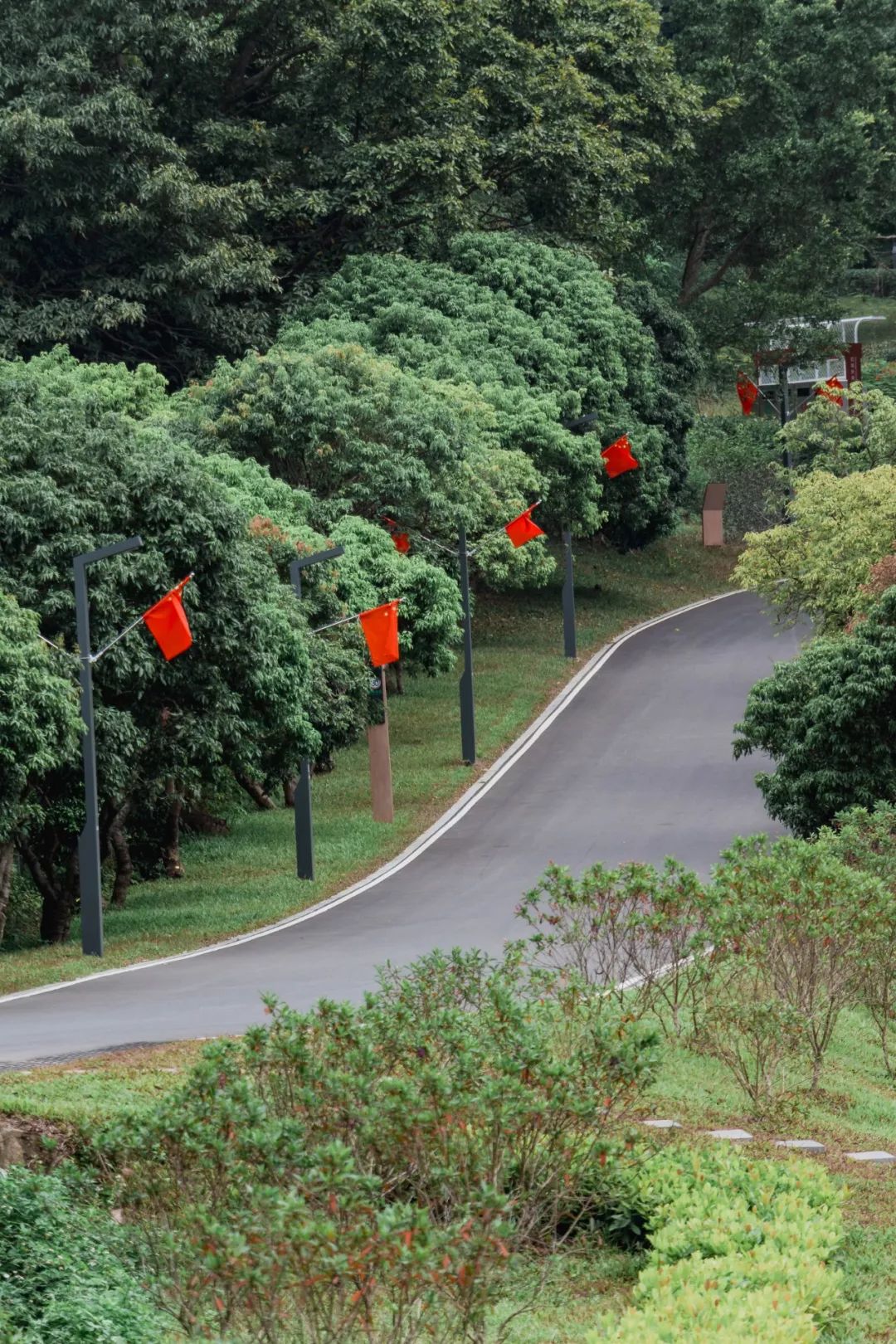 又发现深圳一个“绝美打卡地”!“淘金”绿道,人少免费