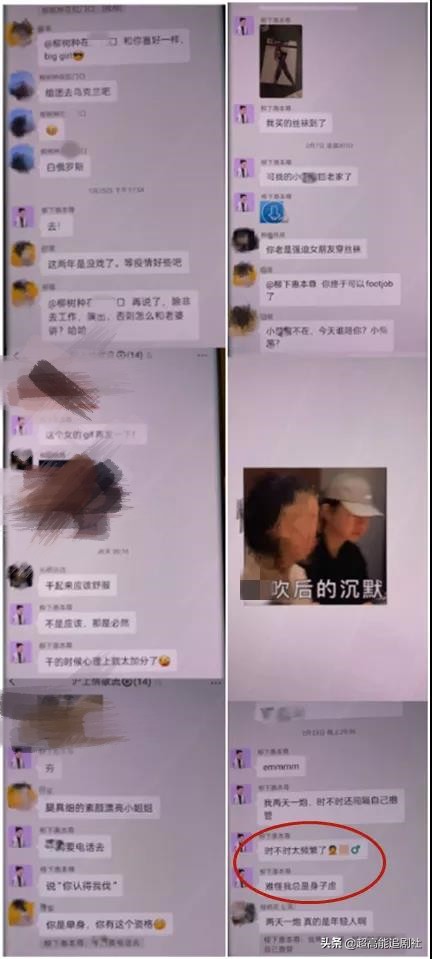 海狗丸平替,海狗丸up主