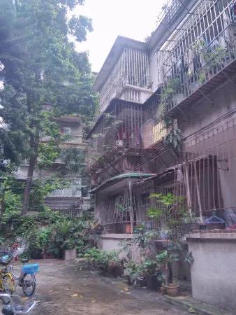 越秀区黄花小学,越秀区华侨小学学位房