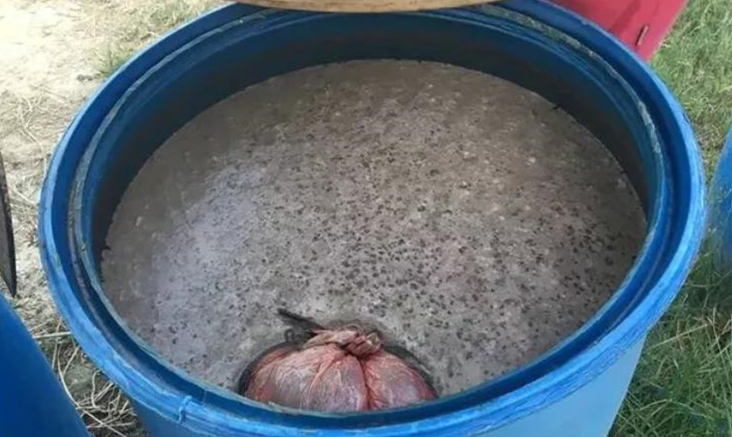 花生麸水肥发酵用红糖还是糖蜜好,用em菌发酵花生麸不用糖蜜可以吗