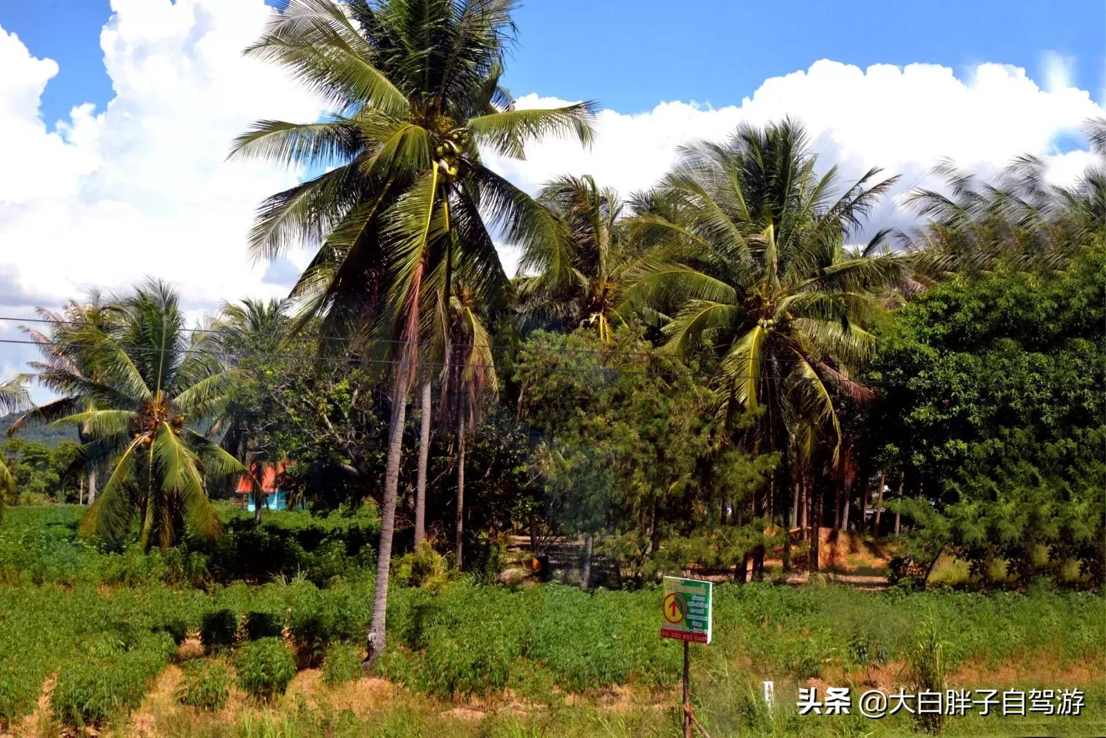 泰国风情之旅完整版,泰国风情记