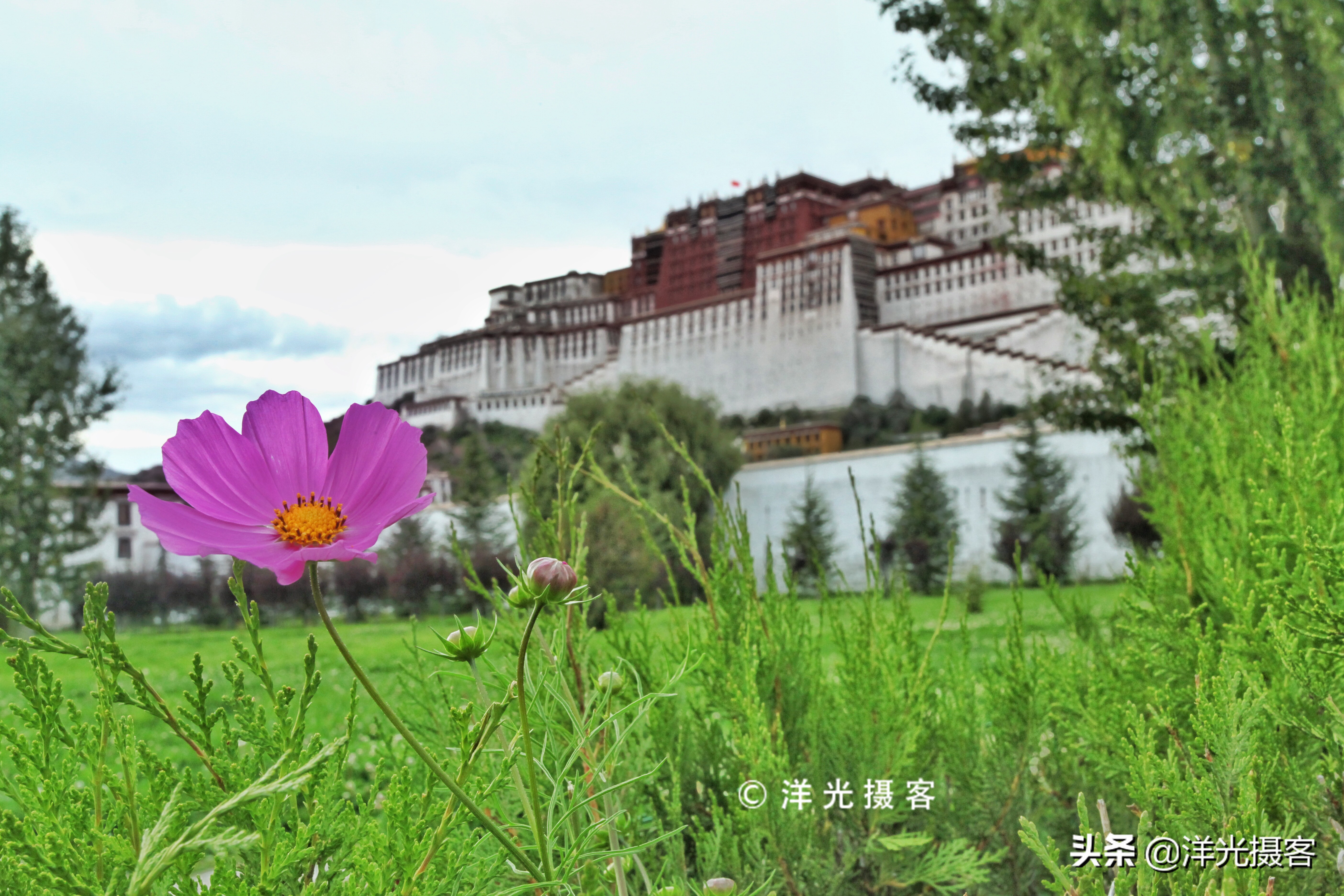 高原圣湖纳木错风景,纳木错醉美圣湖此生必去