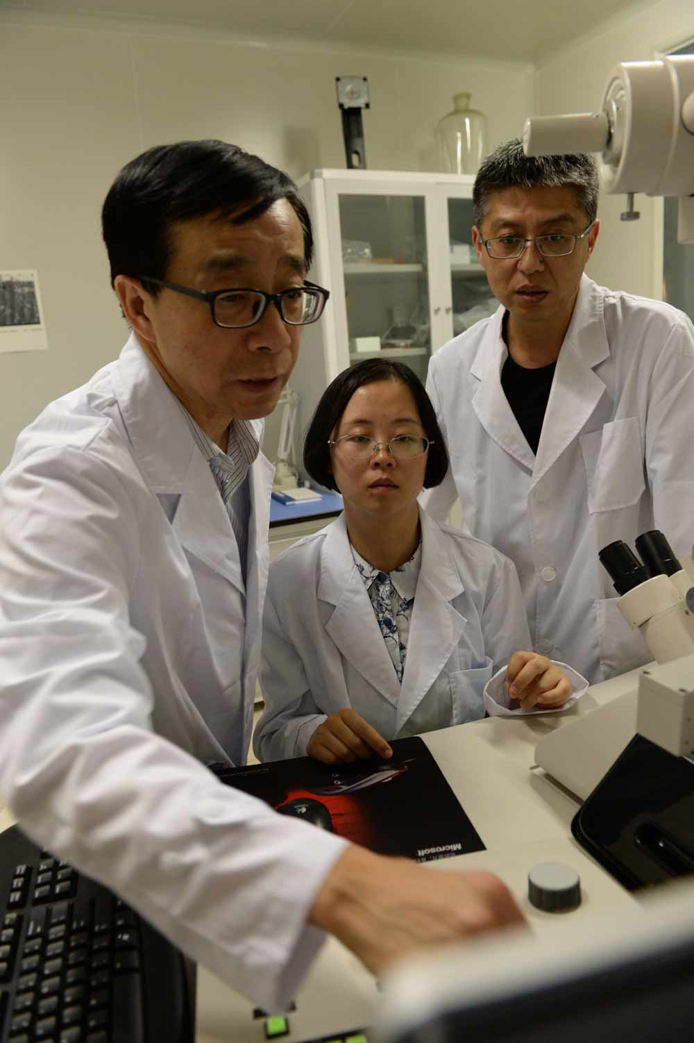 国产最好的他汀药,国内最好的他汀药