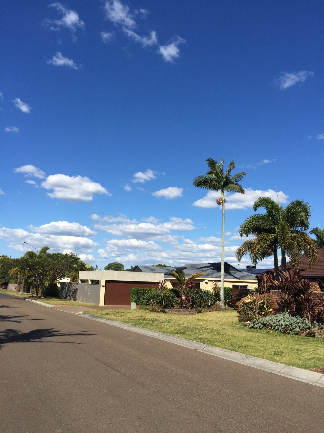 海外生活的中国人澳大利亚,不同国家眼中的澳大利亚