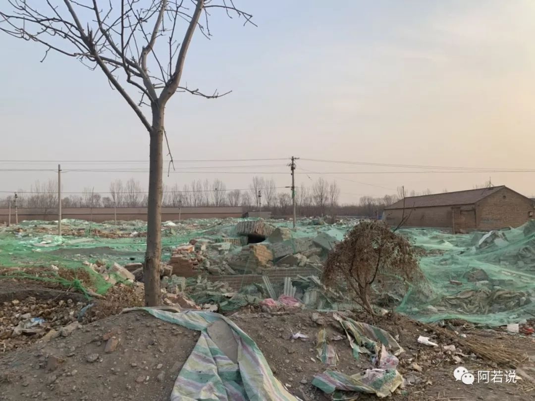 揭秘非法贩猫产业链,揭秘行业秘密