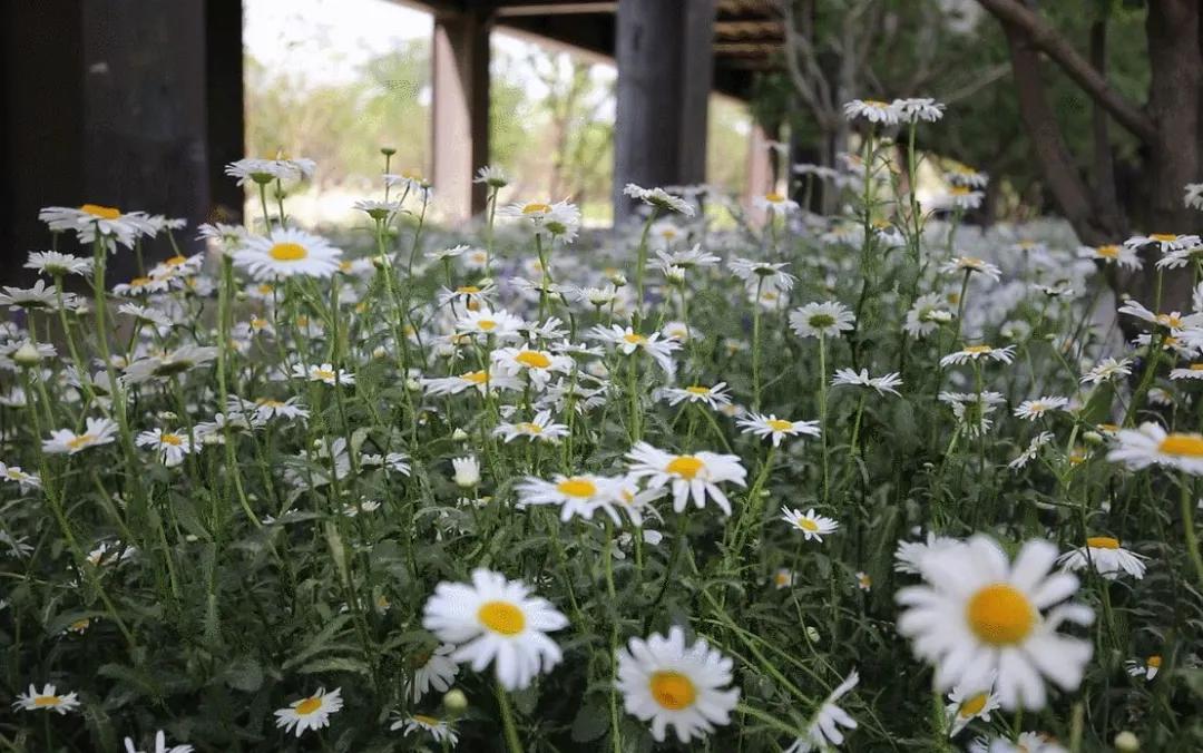 京西新地标,北京海淀区70年产权loft