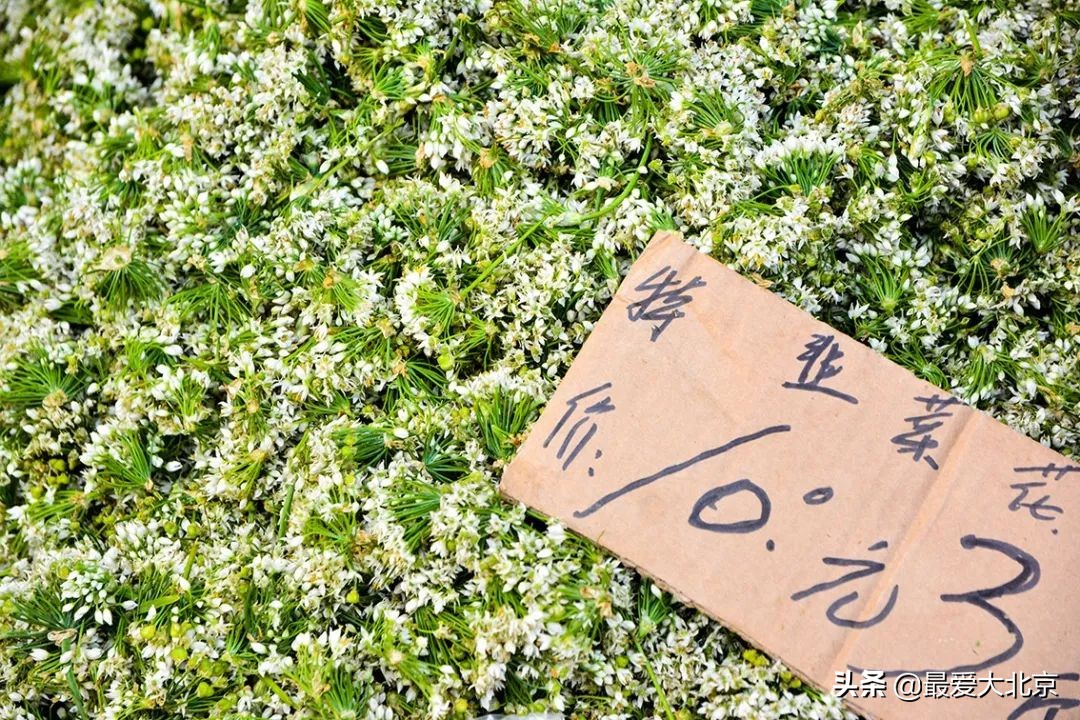 带你逛北京最大早市,北京正宗早市推荐