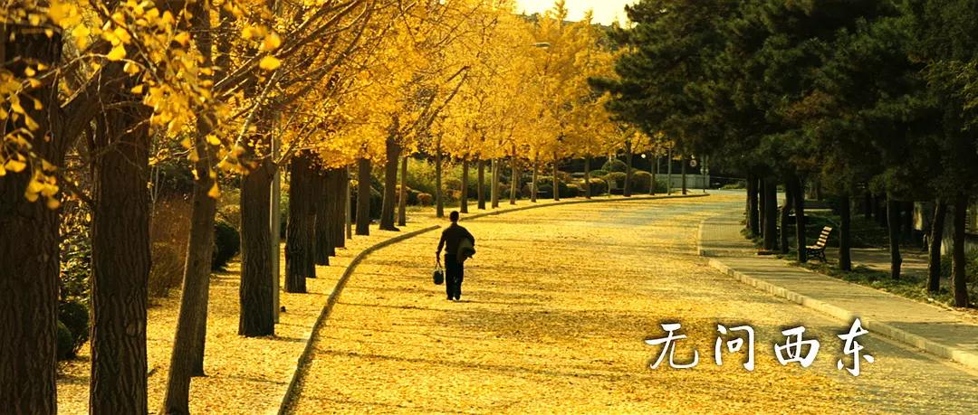 2017年票房破亿的国产电影 (国产片票房排名前十最新)