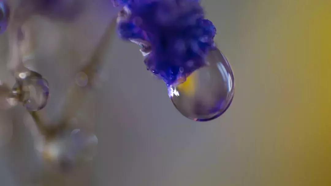 长焦镜头拍摄升起效果,怎么把镜头突然反过来拍自己