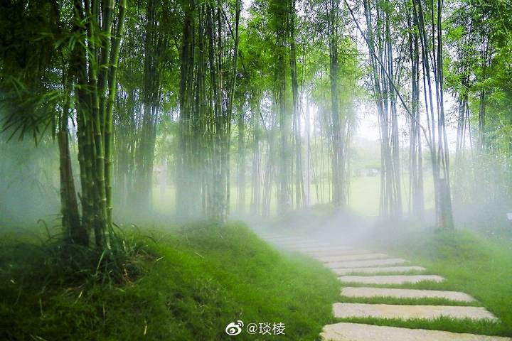 放假的时候逛了青秀山,去青秀山游玩收获了哪些