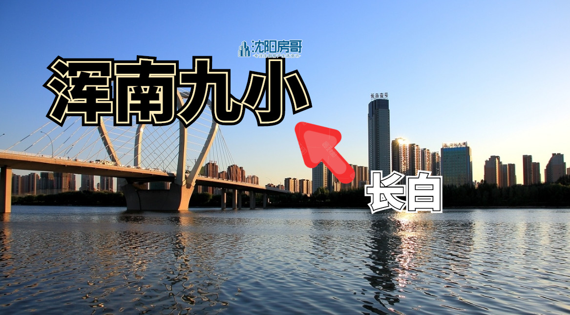 浑南区购买学区房,沈阳市浑南九小和浑南一小哪个好