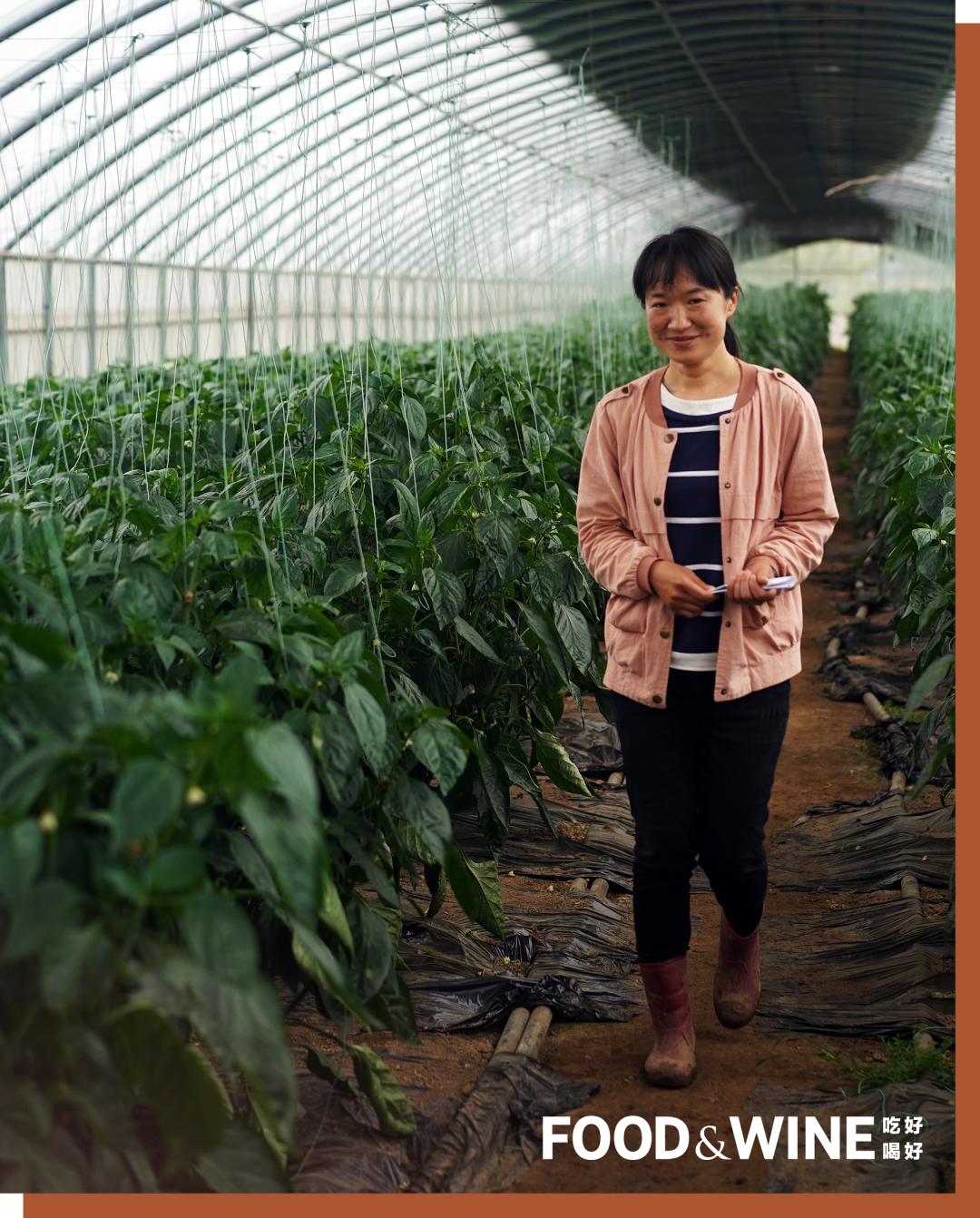 有机蔬菜需要了解哪一些,有机蔬菜基础知识