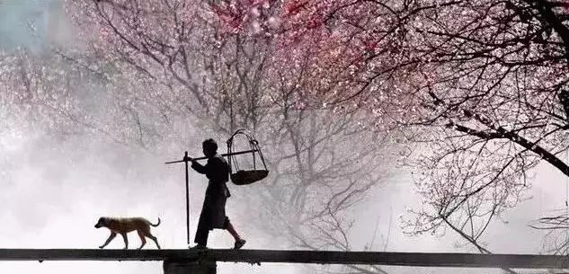 缙云十大旅游村落排名榜,缙云必游古村落