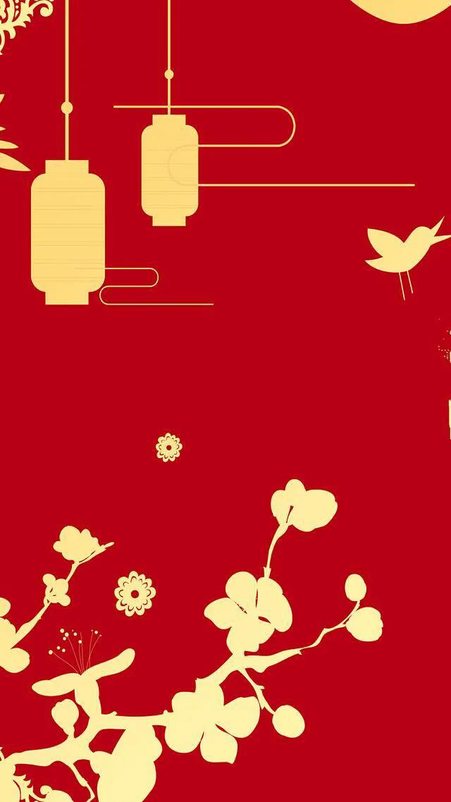 赵锁仙的全部视频,赵锁仙整理视频