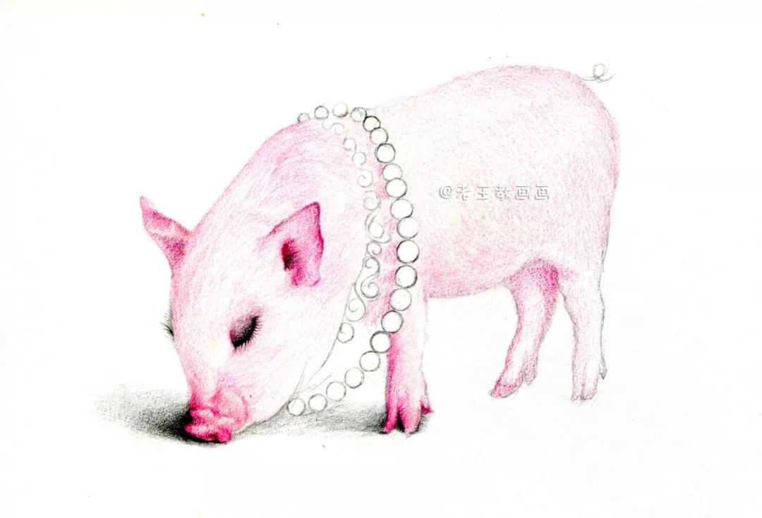 猪年画猪,猪年怎么画