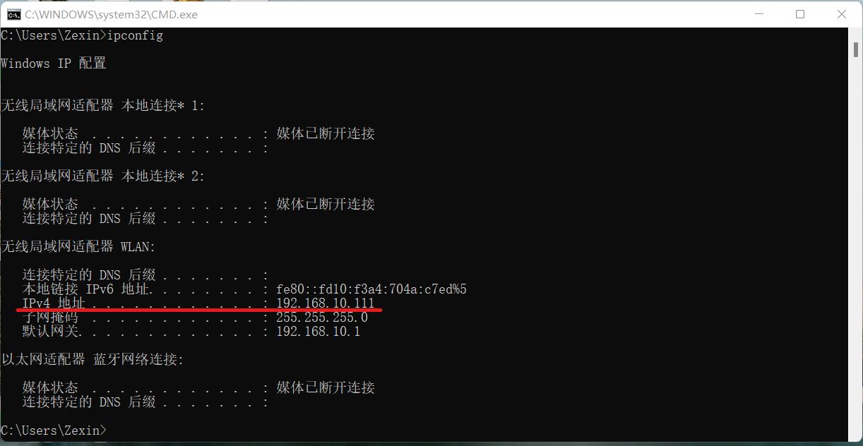 自动获取ip的电脑怎么查看ip地址,win11怎么查看本地ip