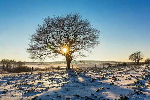 心灵的洗礼下一句是什么,冬日散文赏析