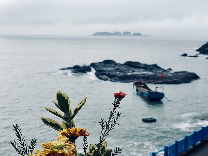 有始有终方能圆满2018年的告别行走