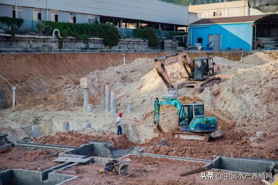 2017十大水产动保企业,水产饲料企业排行