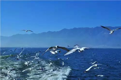 80岁前一定要去的中国的100个地方！你去过几个了？