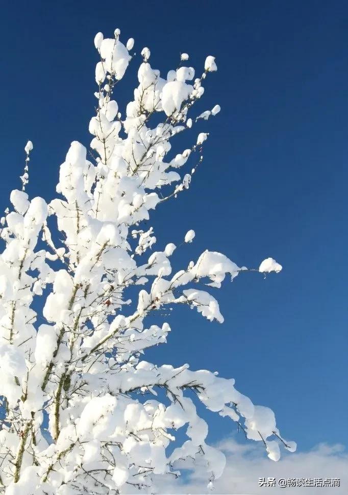十月十五下元节，天晴有啥预兆？看看农谚俗语怎么说