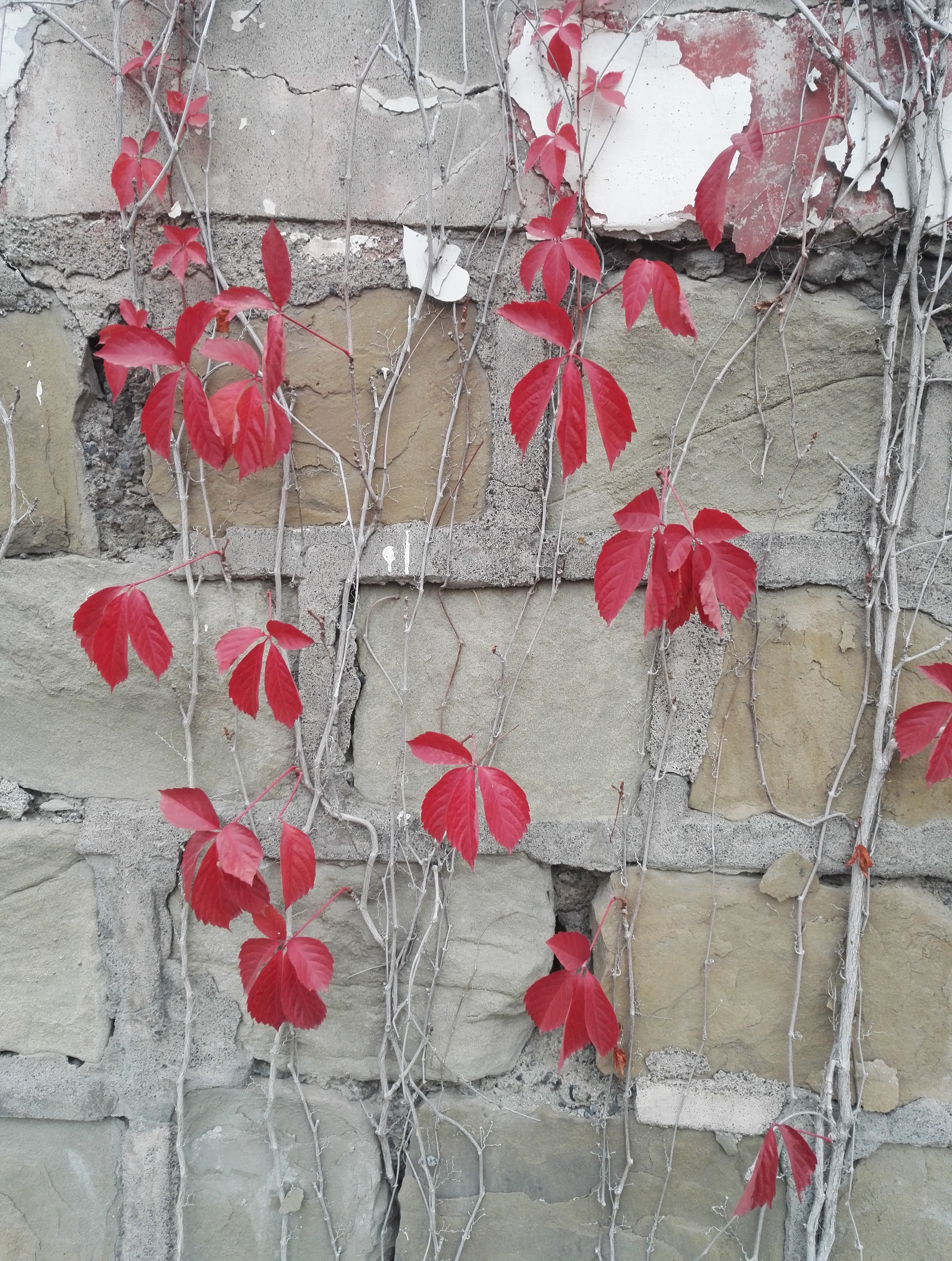 童书出版妈妈幸福教师培训感想