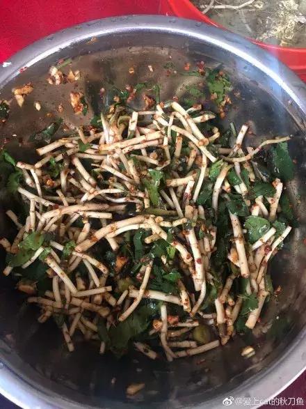 贵阳不光是辣味的，还有一种味道叫折耳根！