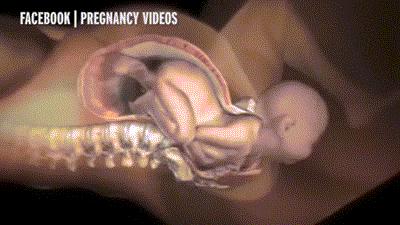 顺产开十指有多痛,顺产开十指究竟有多疼