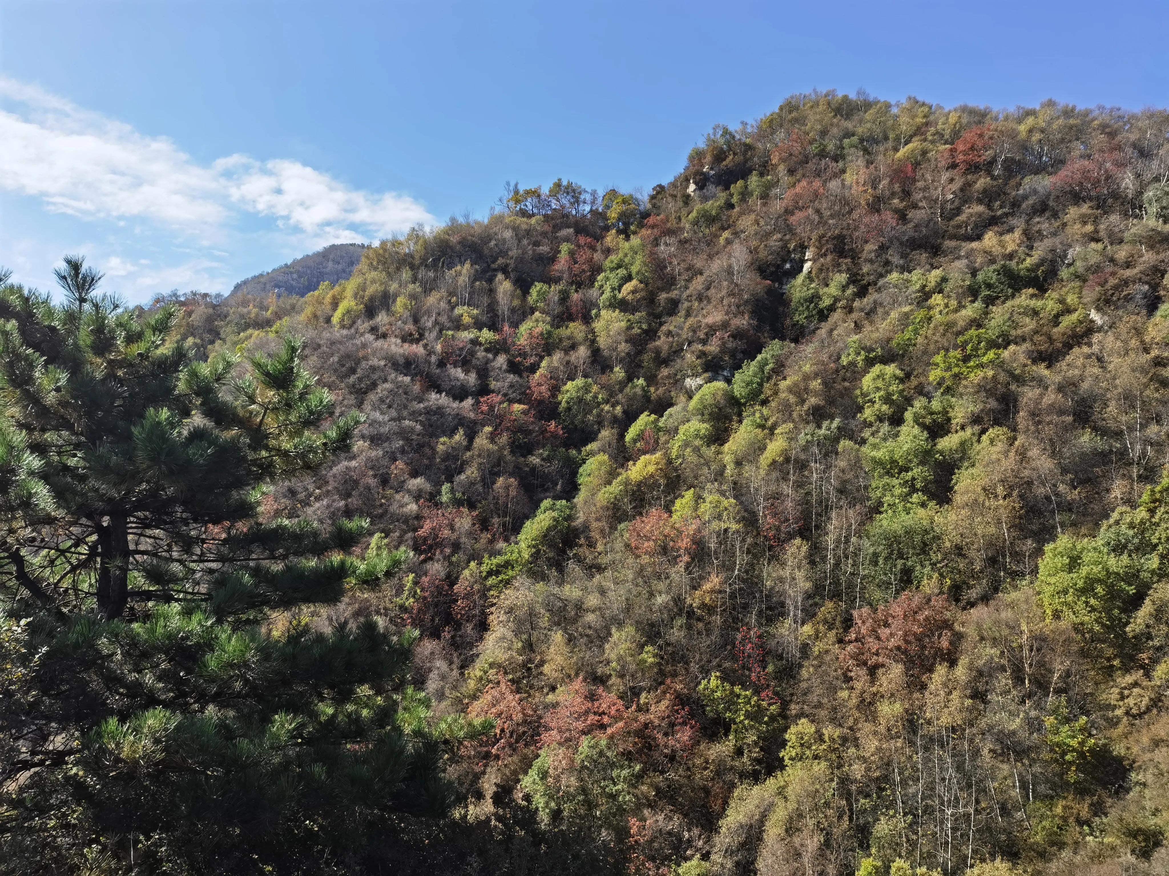 都知夏日驼梁美，秋季呢？阜平花塔村进山带您领略最美的秋日驼梁