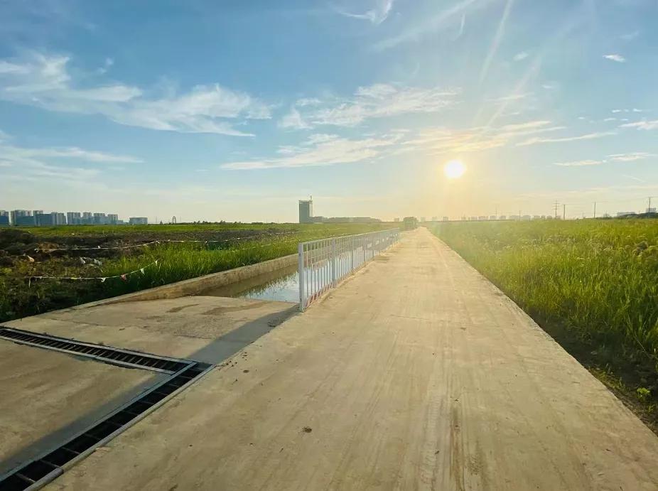 最新！高铁新城“巨无霸”楼盘进度曝光！看完直接惊呆