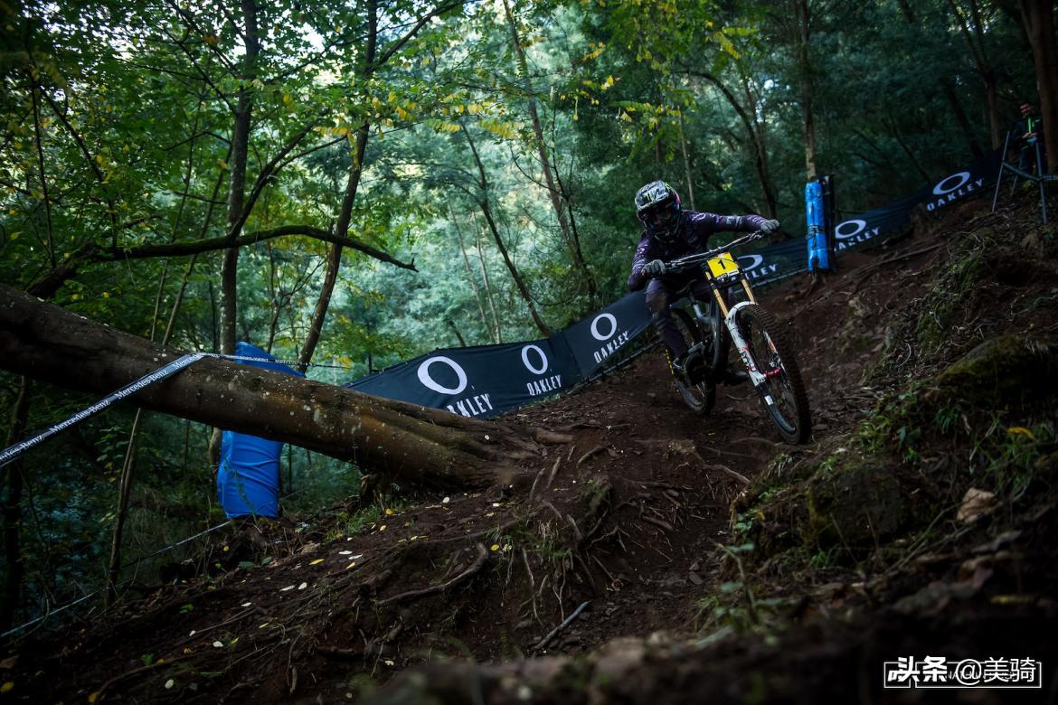 年终车队总结,年度总结赛车