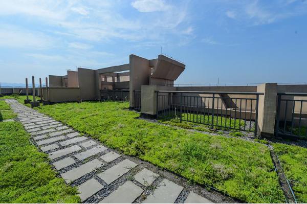 领先50年！悦来成为重庆看世界的眼睛