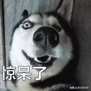 不专业教练游泳,不想下水的游泳教练